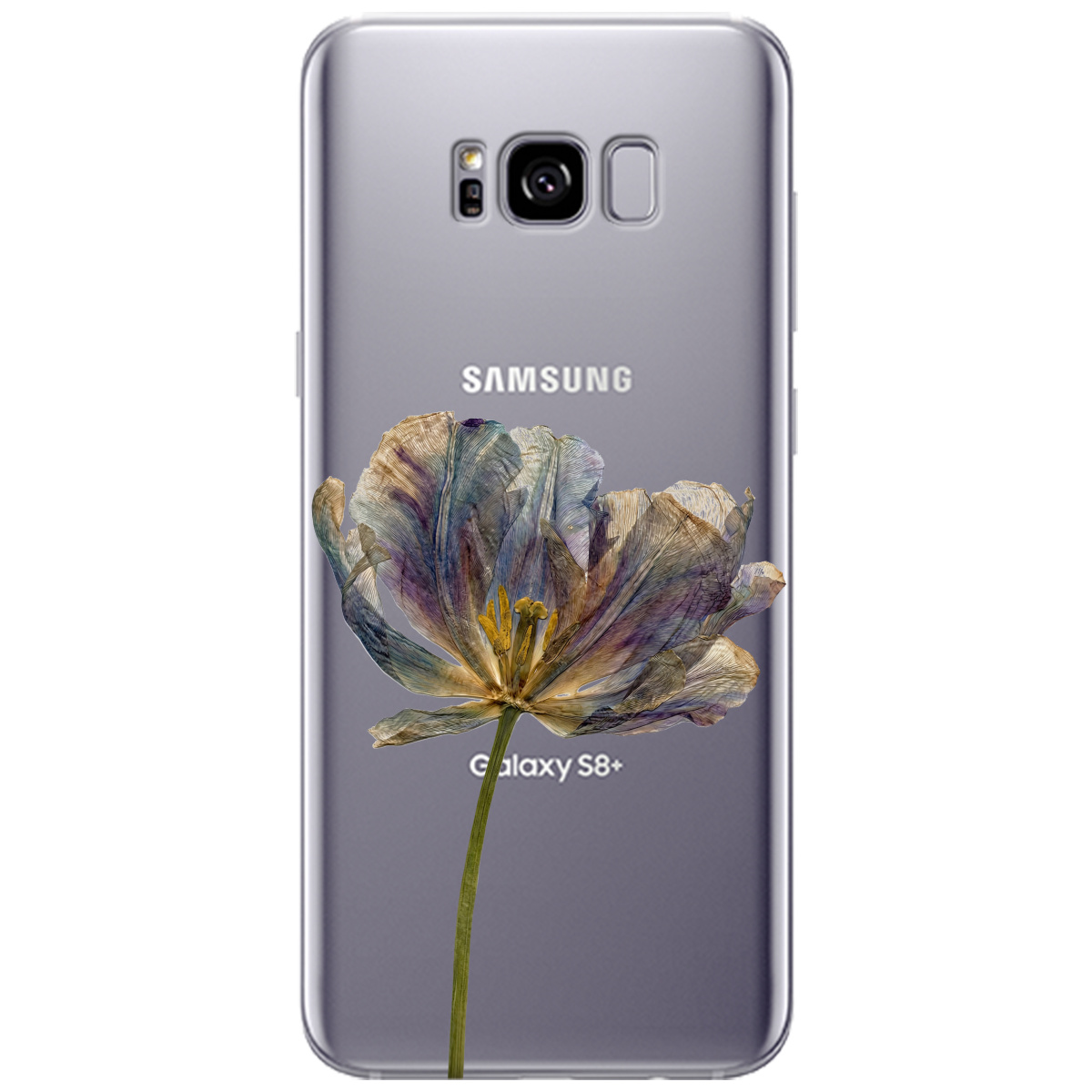 Чехол для Samsung Galaxy S8 Plus прозрачный Нежный сухоцвет - фото 1 - Чехлы для телефонов