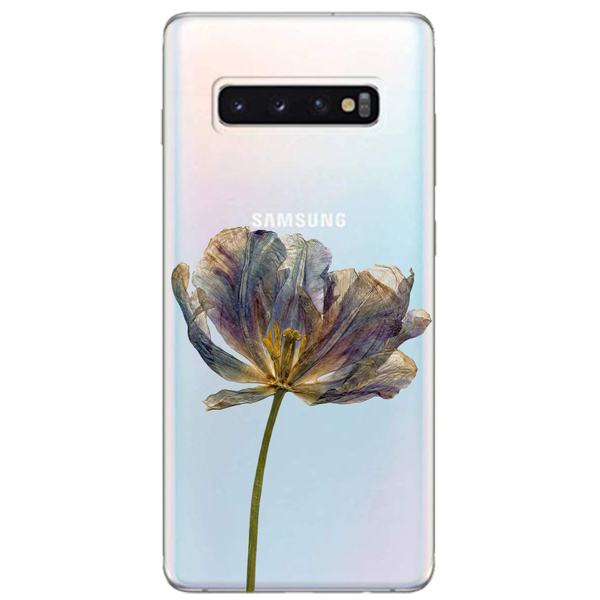 Чехол для Samsung Galaxy S10 прозрачный Нежный сухоцвет - фото 1 - Чехлы для телефонов