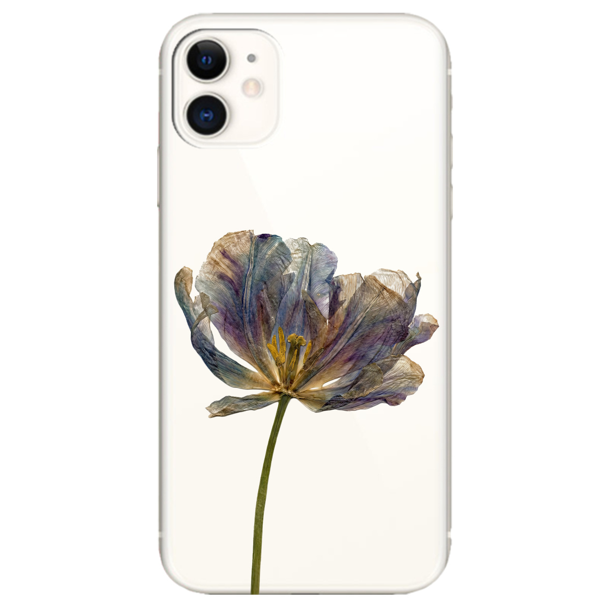 Чехол для Apple iPhone 11 прозрачный Нежный сухоцвет - фото 1 - Чехлы для телефонов