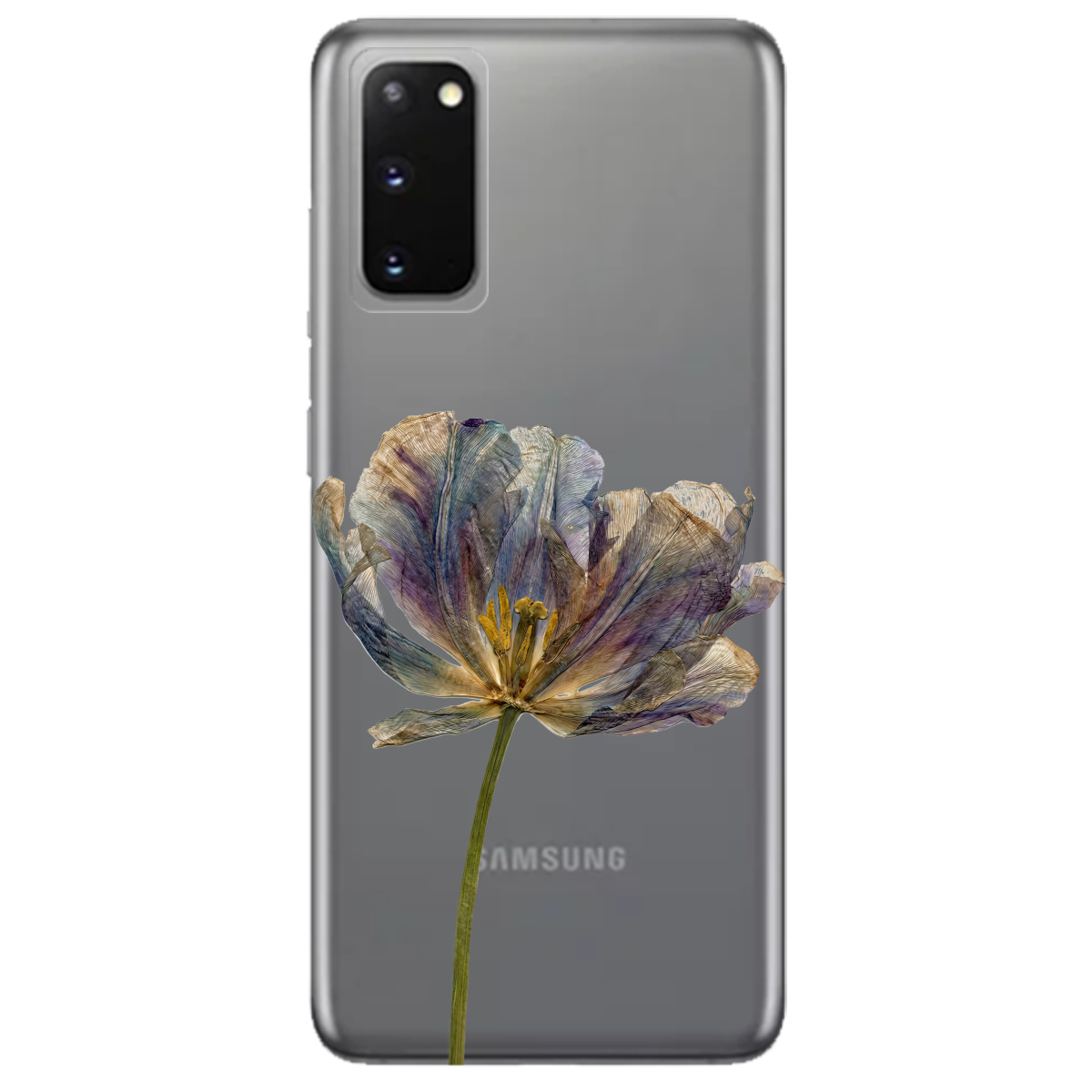 Чохол для Samsung Galaxy S20 прозорий Ніжний сухоцвіт - фото 1 - Чохли для телефонів