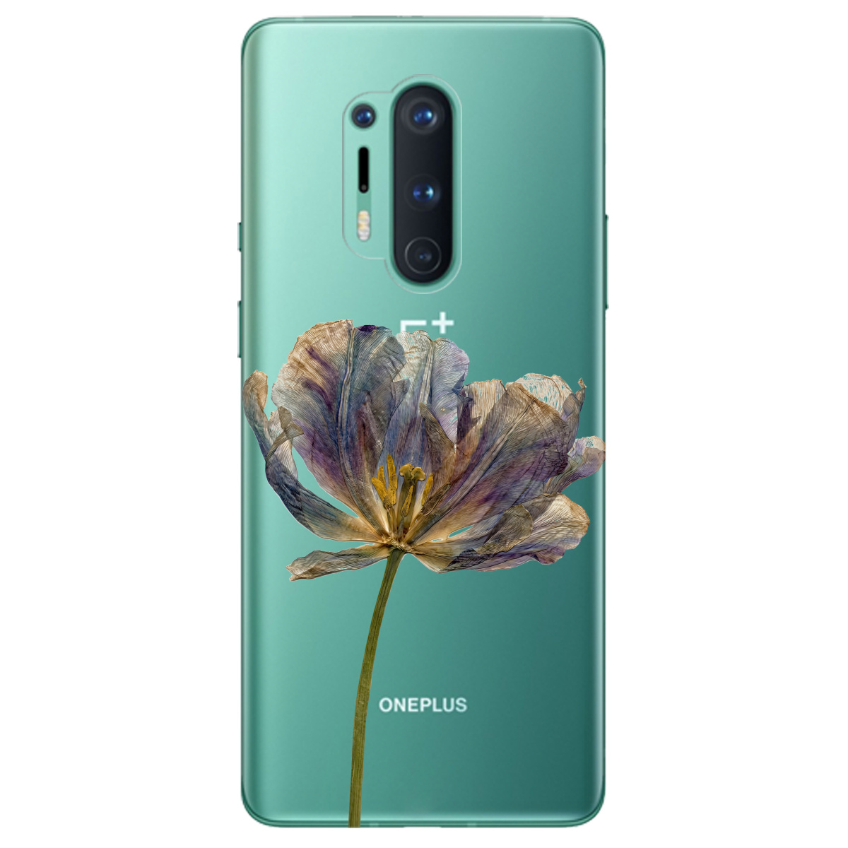 Чехол для OnePlus 8 Pro прозрачный Нежный сухоцвет - фото 1 - Чехлы для телефонов