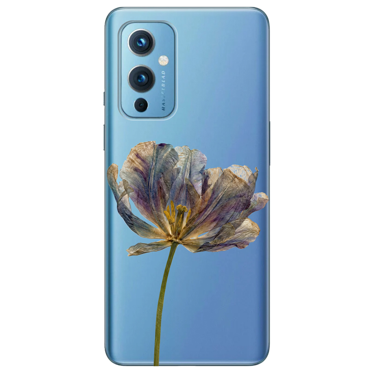 Чохол для OnePlus 9 (азіатська версія) прозорий Ніжний сухоцвіт - фото 1 - Чохли для телефонів