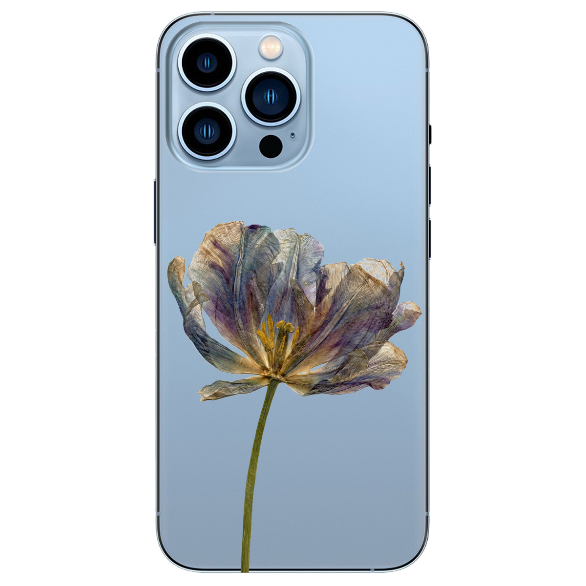 Чехол для Apple iPhone 13 Pro Max прозрачный Нежный сухоцвет - фото 1 - Чехлы для телефонов