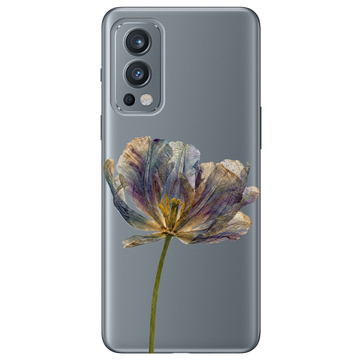 Чохол для OnePlus Nord 2 5G прозорий Ніжний сухоцвіт - фото 1 - Чохли для телефонів