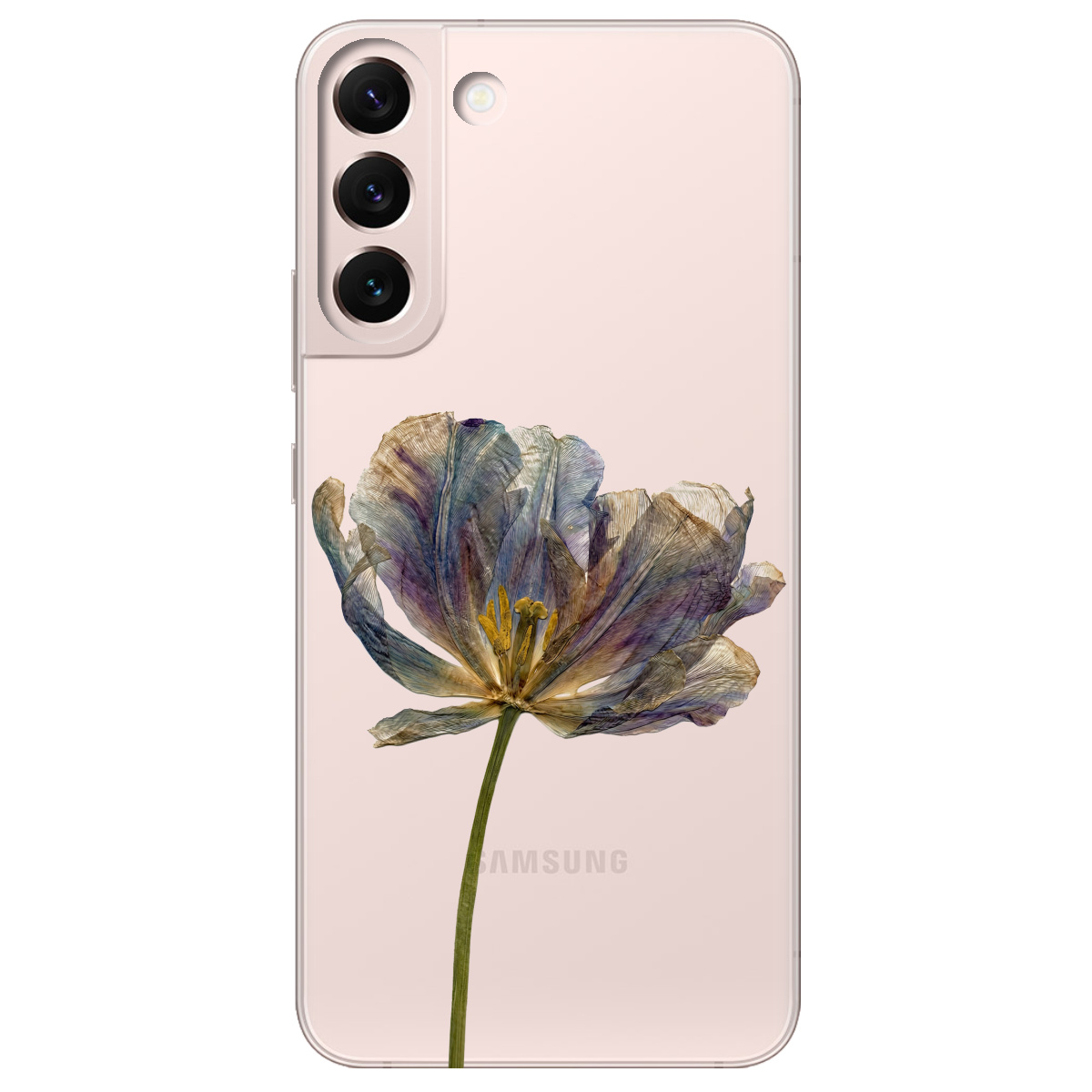 Чехол для Samsung Galaxy S22 прозрачный Нежный сухоцвет - фото 1 - Чехлы для телефонов