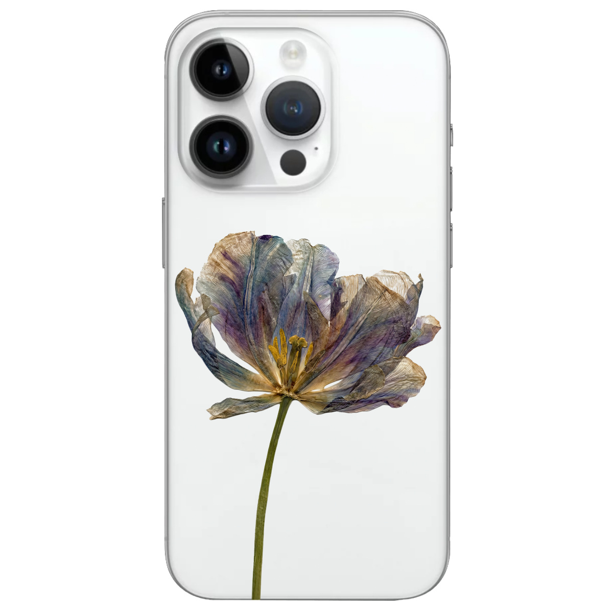 Чохол для Apple iPhone 14 Pro Max прозорий Ніжний сухоцвіт - фото 1 - Чохли для телефонів