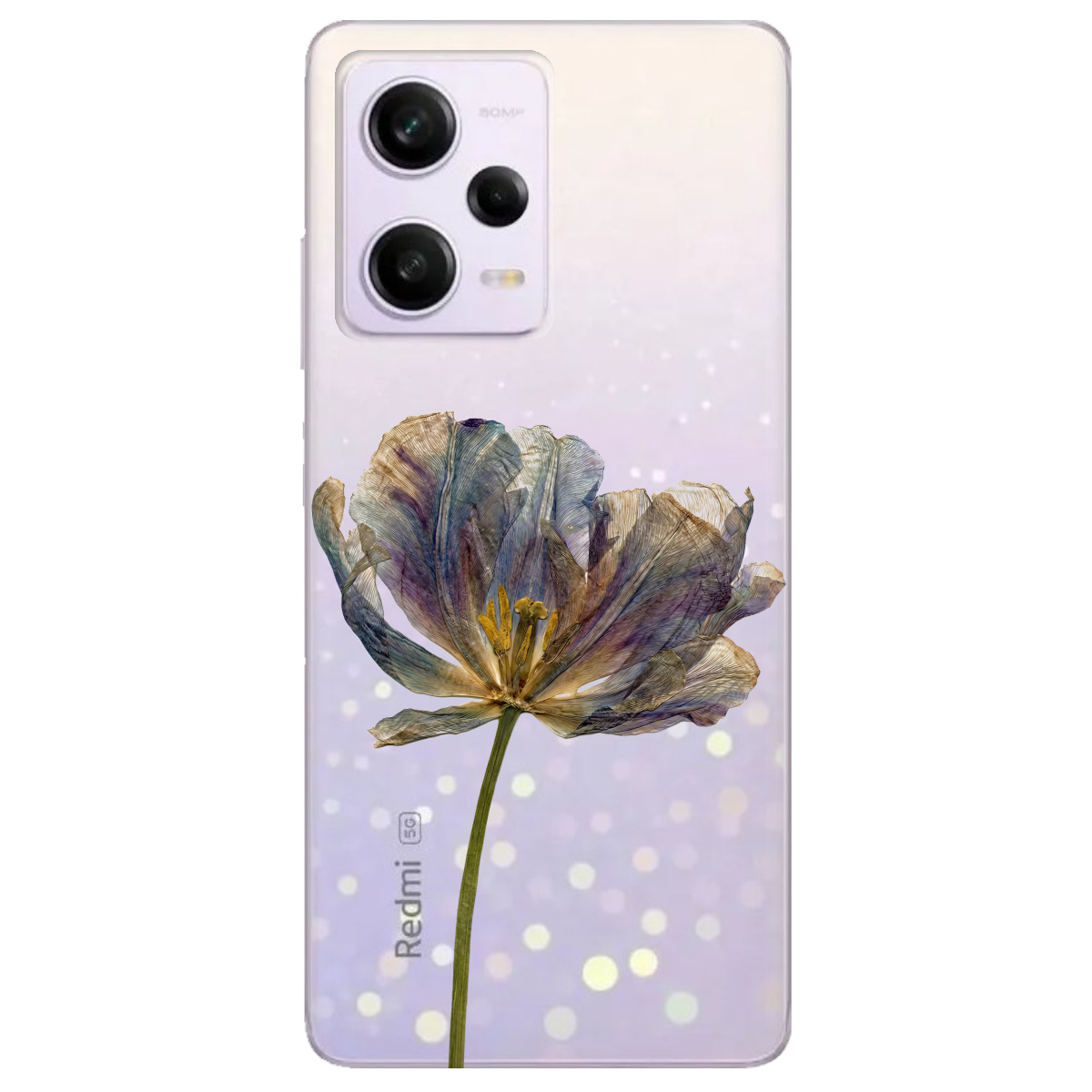 Чехол для Xiaomi Redmi Note 12 Pro 5G прозрачный Нежный сухоцвет - фото 1 - Чехлы для телефонов