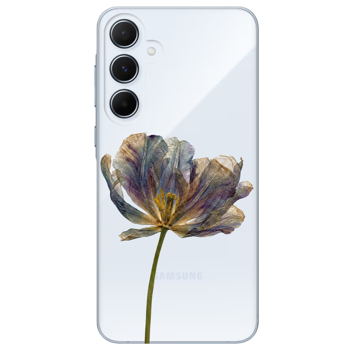 Чехол для Samsung Galaxy A55 прозрачный Нежный сухоцвет - фото 1 - Чехлы для телефонов