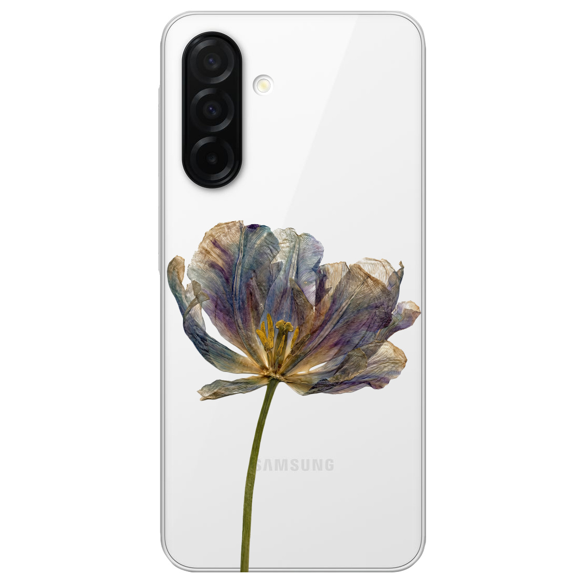 Чохол для Samsung Galaxy A26 5G прозорий Ніжний сухоцвіт - фото 1 - Чохли для телефонів