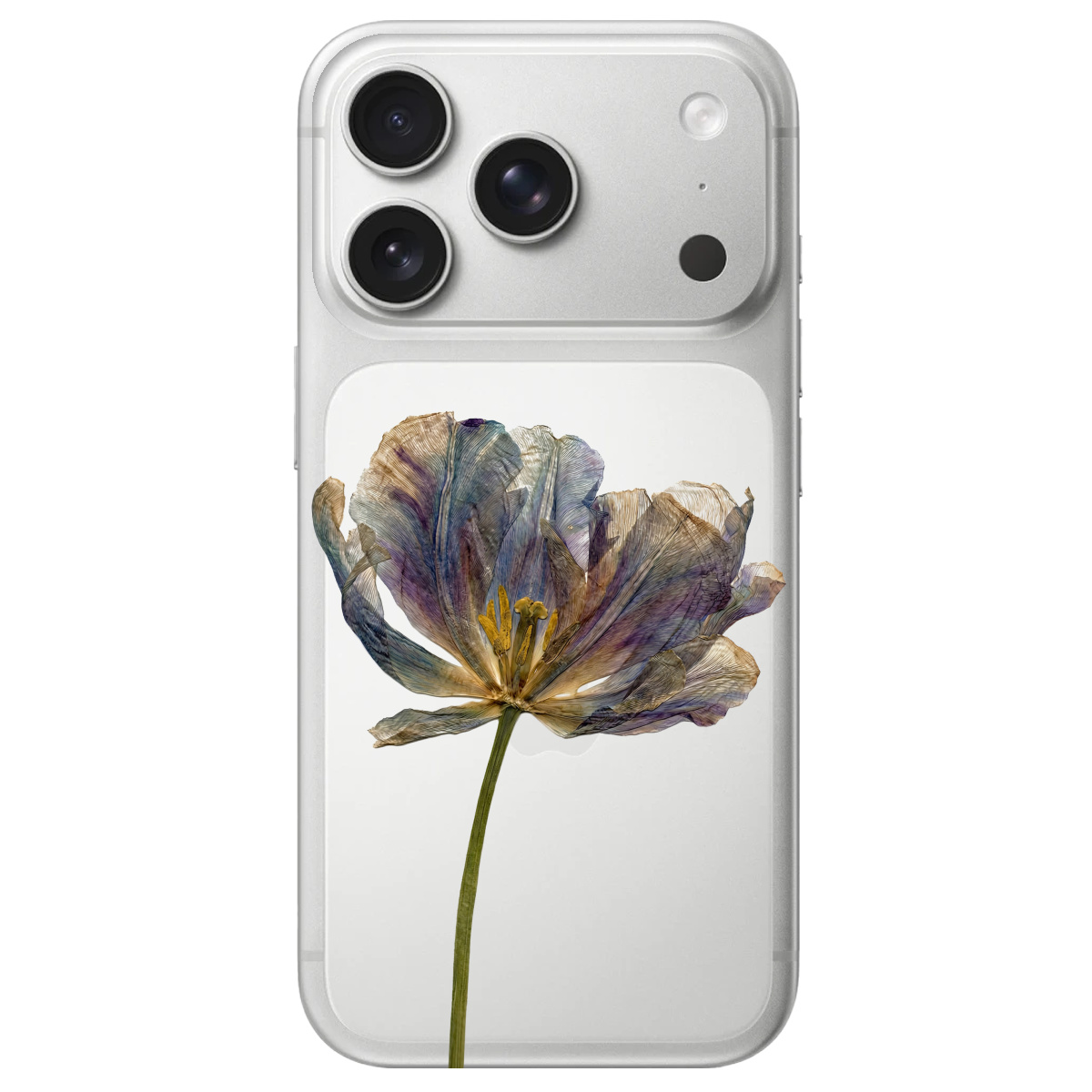 Чехол для Apple iPhone 17 Pro Max прозрачный Нежный сухоцвет - фото 1 - Чехлы для телефонов
