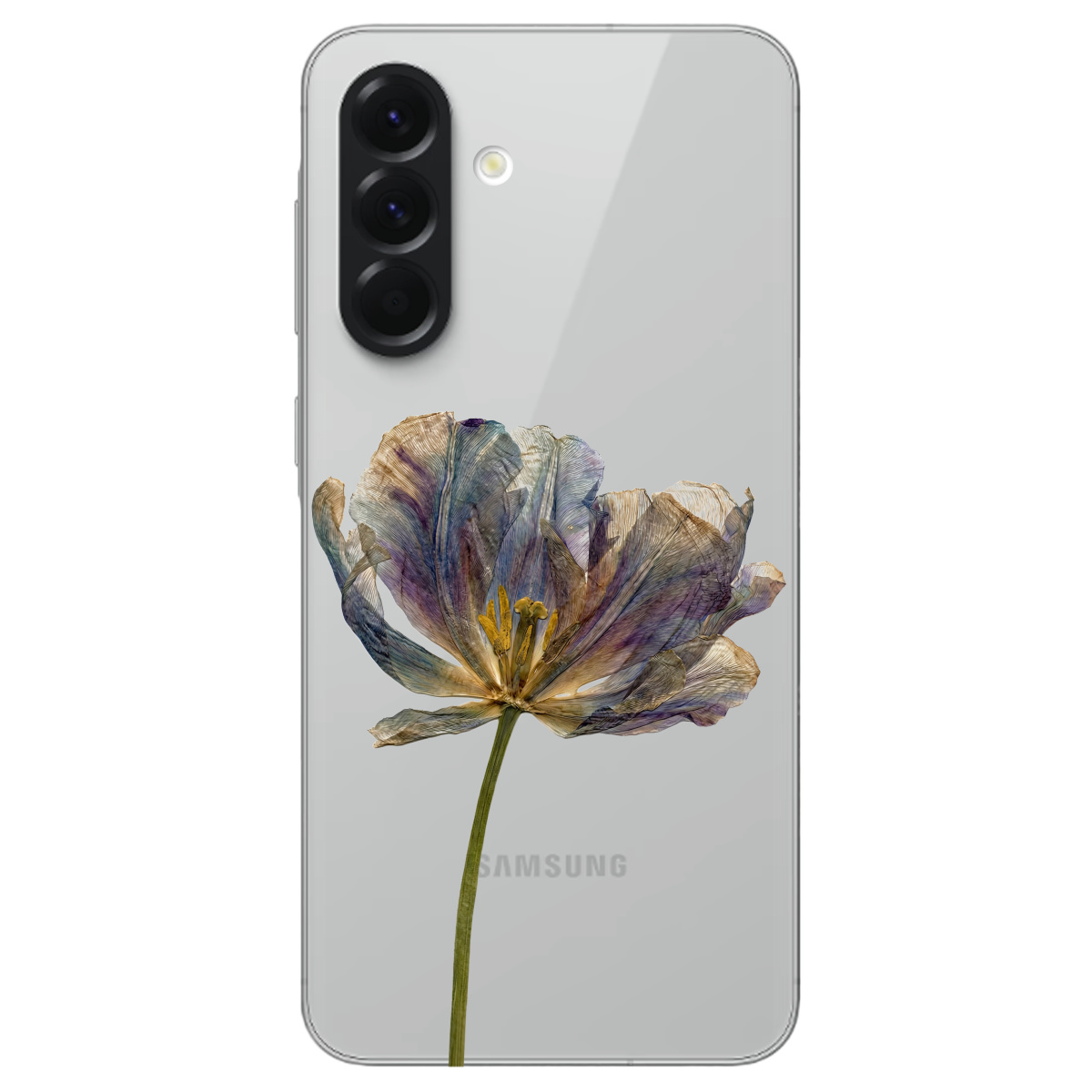 Чохол для Samsung Galaxy A56 5G прозорий Ніжний сухоцвіт - фото 1 - Чохли для телефонів