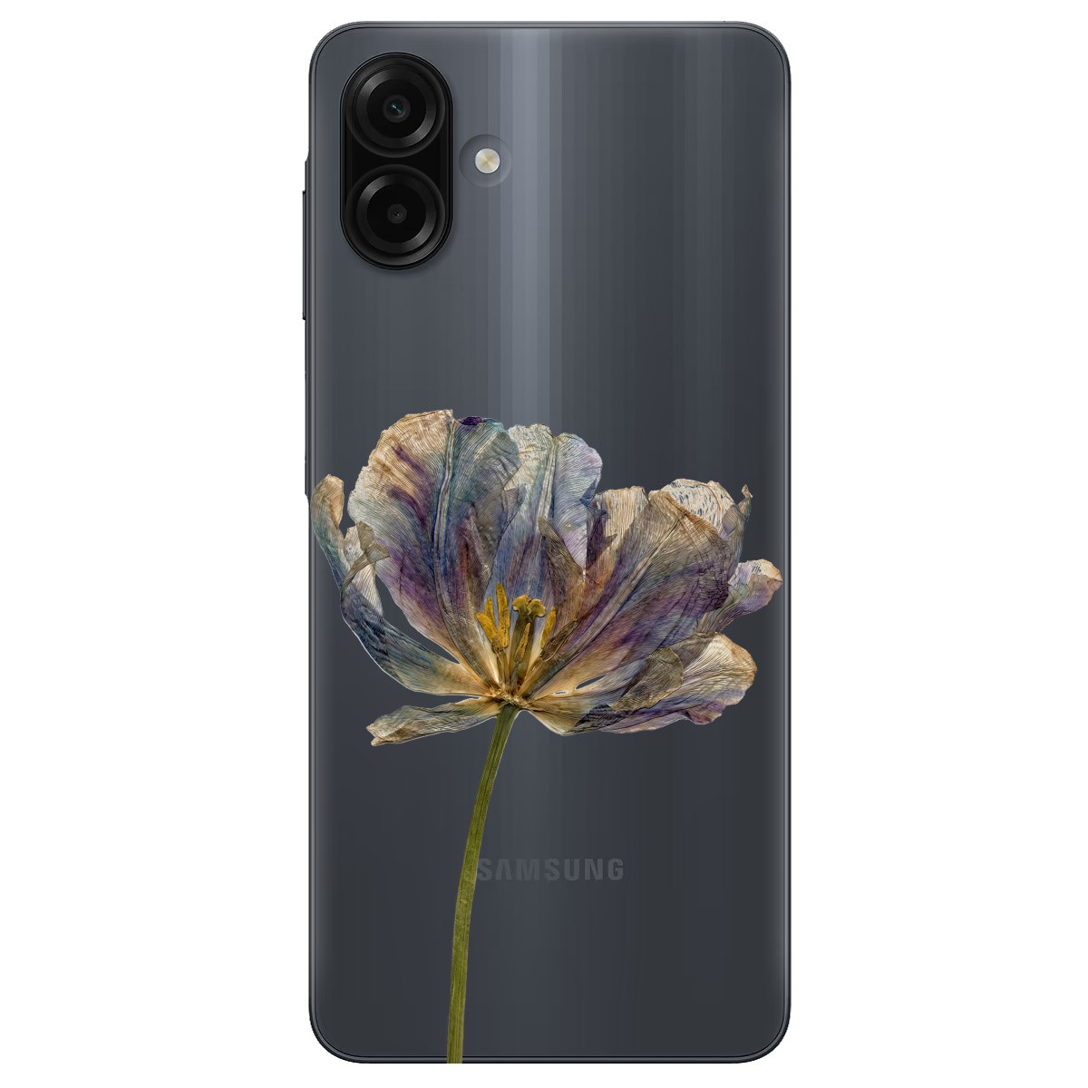 Чехол для Samsung Galaxy A07 прозрачный Нежный сухоцвет - фото 1 - Чехлы для телефонов