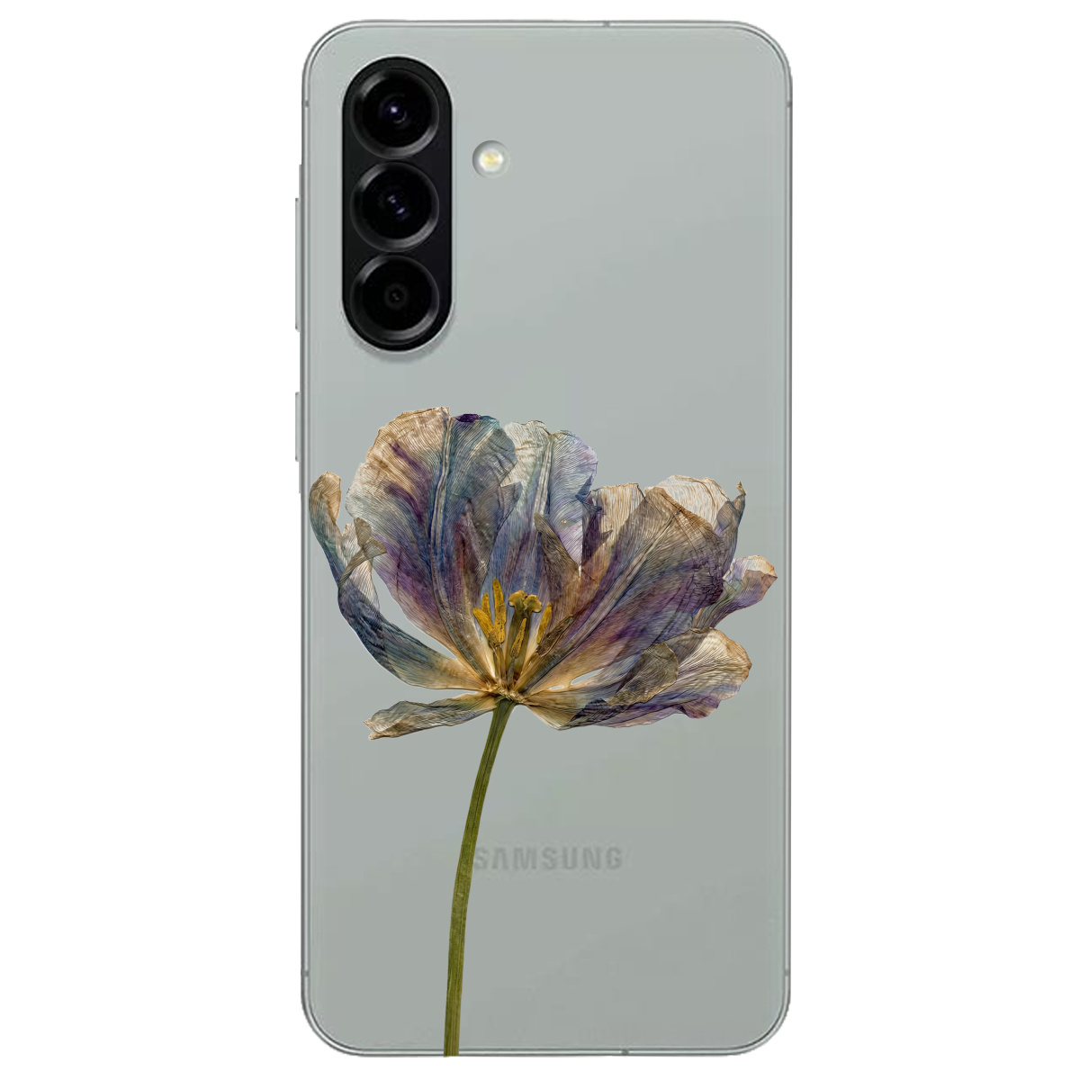 Чохол для Samsung Galaxy A57 5G прозорий Ніжний сухоцвіт - фото 1 - Чохли для телефонів