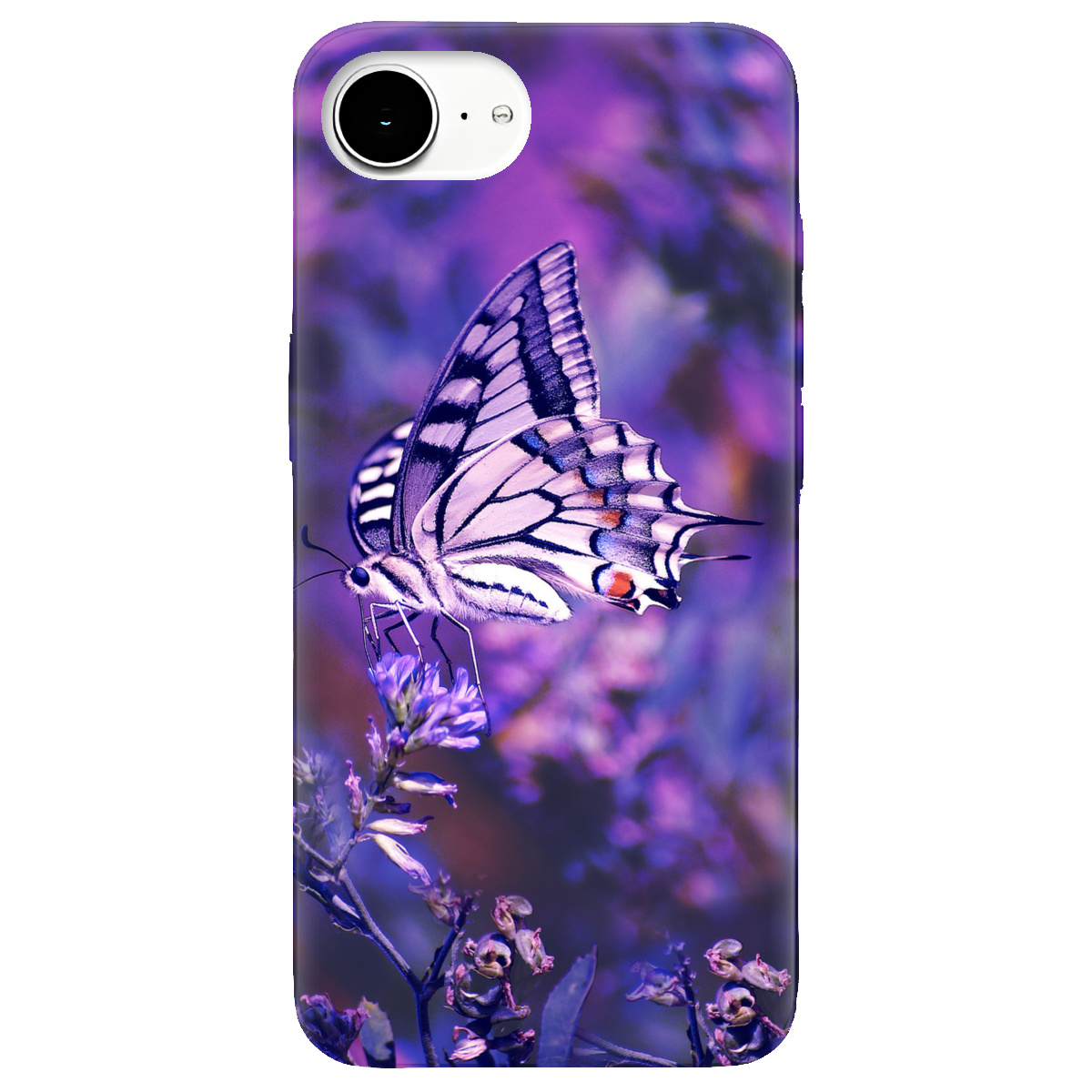 Чохол для Apple iPhone 17e прозорий Farfalla - фото 1 - Чохли для телефонів