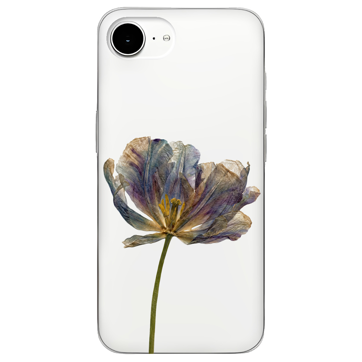 Чехол для Apple iPhone 17e прозрачный Нежный сухоцвет - фото 1 - Чехлы для телефонов